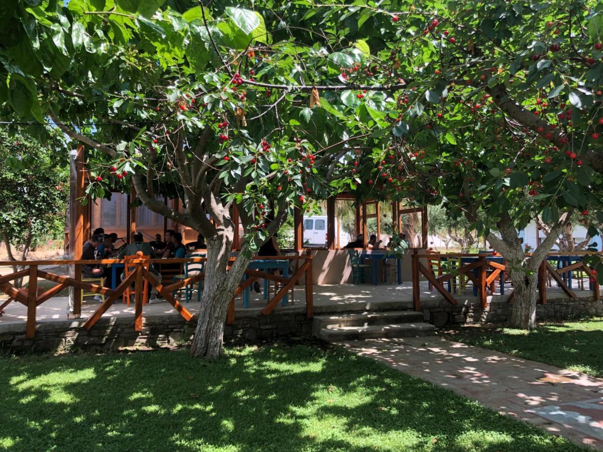 Gregory'S Village Plati  Exterior photo
